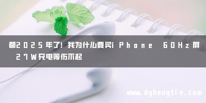 都2025年了！我为什么要买iPhone 60Hz屏 27W充电等伤不起